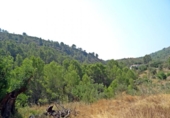 Casa de camp amb terreny en venda a la España, Xaló, ref.: TR145464 foto