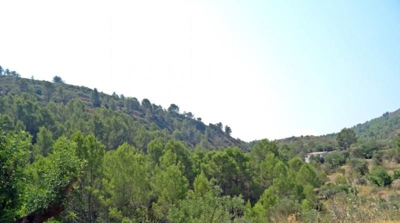 Alicante - Jalón - 10883m2