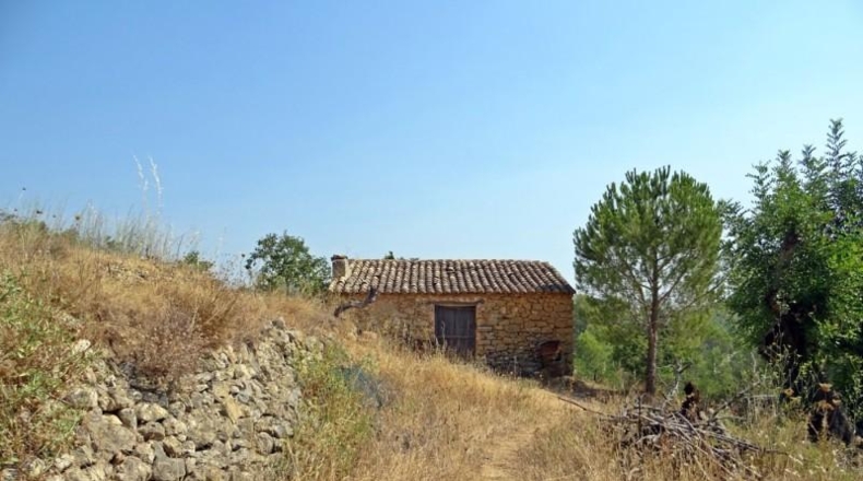 Alicante - Jalón - 10883m2