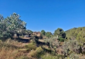 Casa de camp amb terreny en venda a la España, Xaló, ref.: TR145464 foto