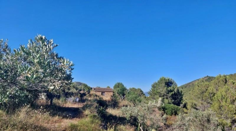 Alicante - Jalón - 10883m2