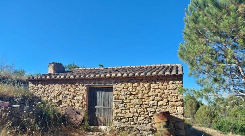 Alicante - Jalón - 10883m2