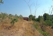Casa de camp amb terreny en venda a la España, Xaló, ref.: TR145464 foto