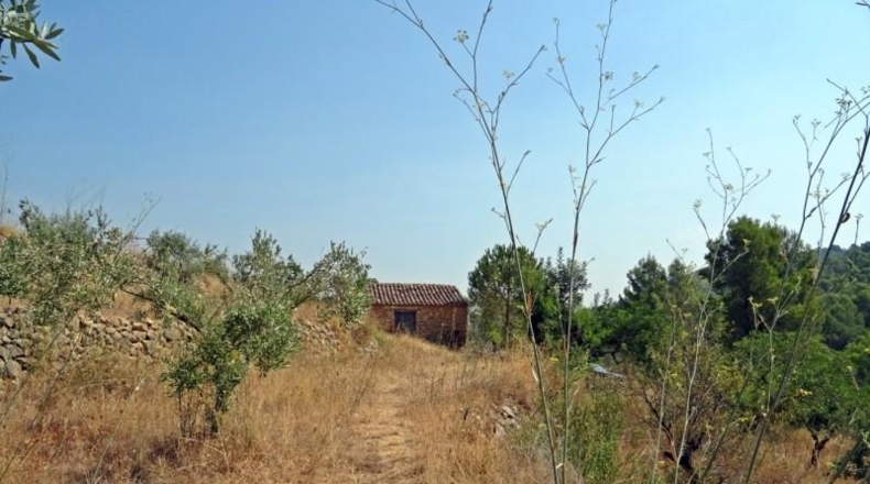 Alicante - Jalón - 10883m2