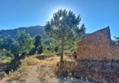 Casa de camp amb terreny en venda a la España, Xaló, ref.: TR145464 foto