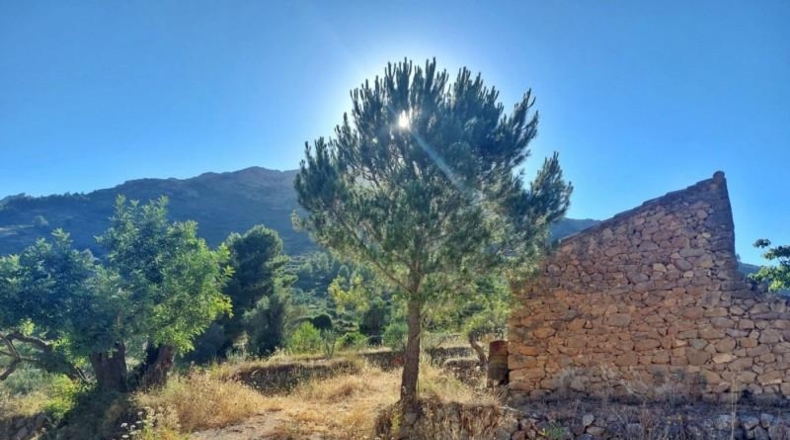 Alicante - Jalón - 10883m2