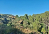 Casa de camp amb terreny en venda a la España, Xaló, ref.: TR145464 foto
