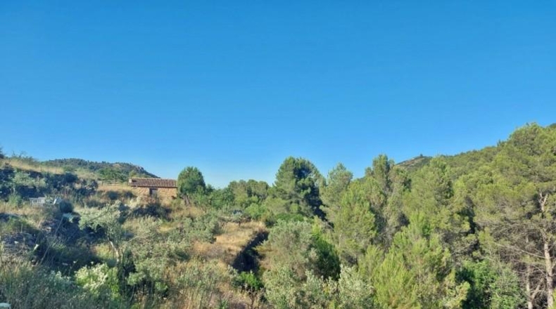 Alicante - Jalón - 10883m2