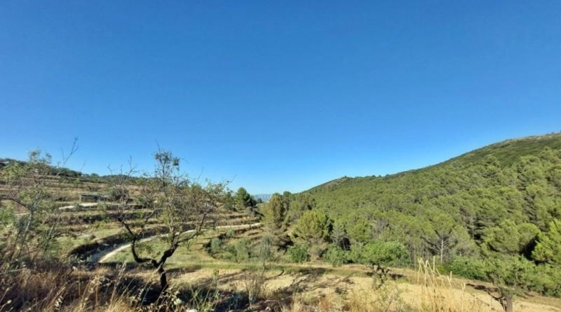Alicante - Jalón - 10883m2