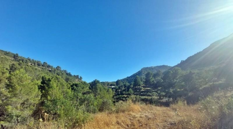Alicante - Jalón - 10883m2