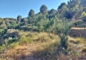 Casa de camp amb terreny en venda a la España, Xaló, ref.: TR145464 foto