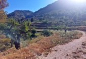 Casa de camp amb terreny en venda a la España, Xaló, ref.: TR145464 foto