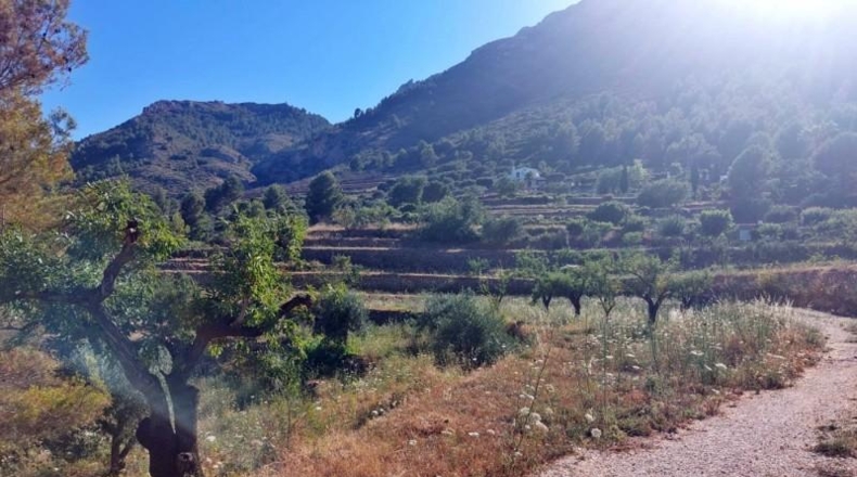Alicante - Jalón - 10883m2
