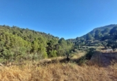 Casa de camp amb terreny en venda a la España, Xaló, ref.: TR145464 foto