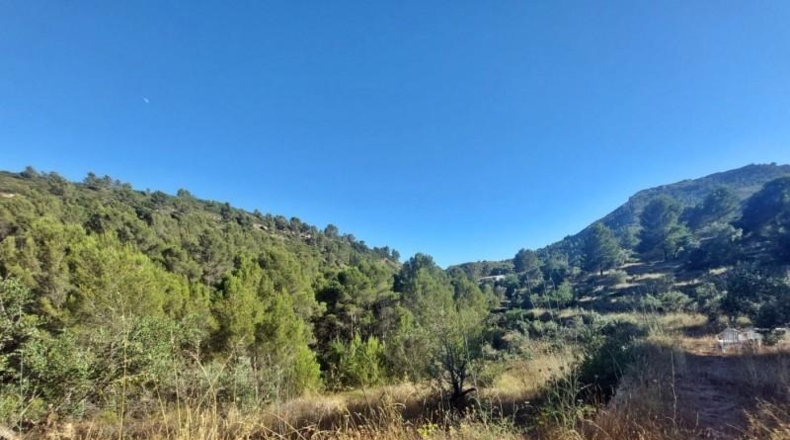 Alicante - Jalón - 10883m2