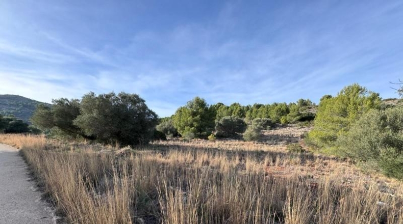 Alicante - Benisa - 10154m2