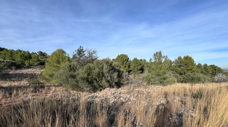 Alicante - Benisa - 10154m2