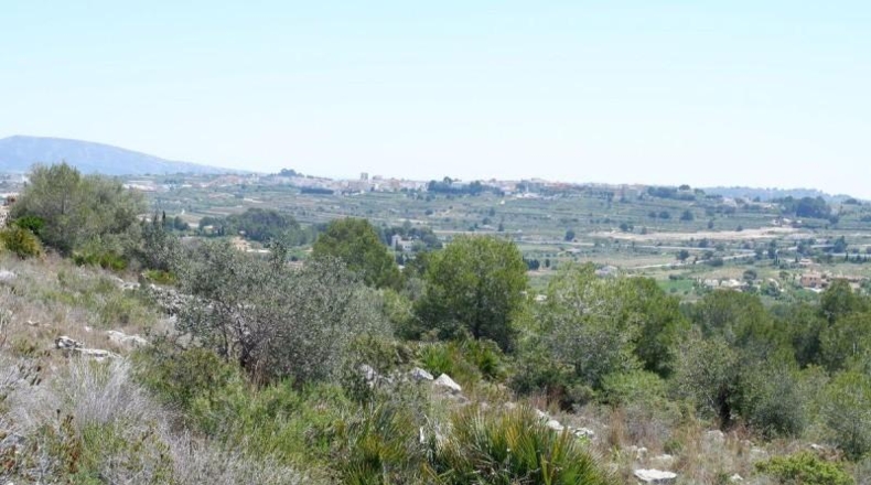 Alicante - Benisa - 10154m2