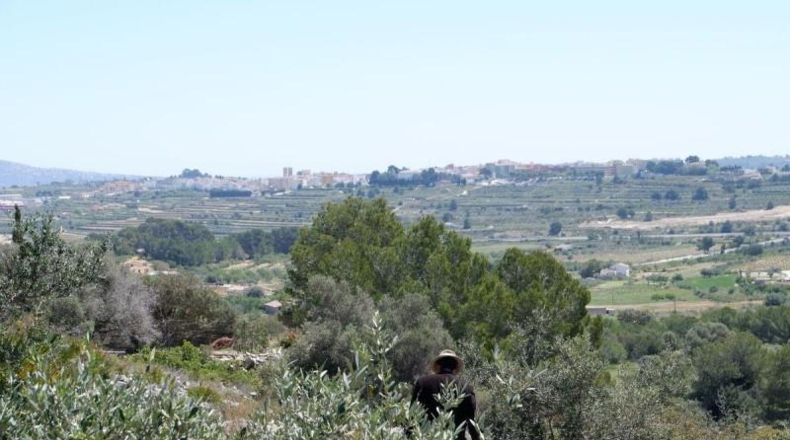 Alicante - Benisa - 10154m2