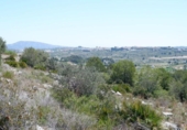 Terreny no urbanitzable en venda a la España, Benissa, ref.: TR124560 foto