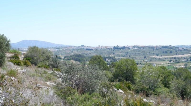 Alicante - Benisa - 10154m2