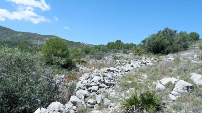 Alicante - Benisa - 10154m2