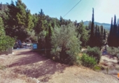 Casa de camp amb terreny en venda a la España, Alfara de Carles, ref.: TR341201 foto