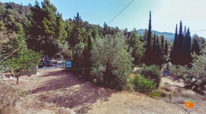 Tarragona - Alfara de Carles - 58802m2