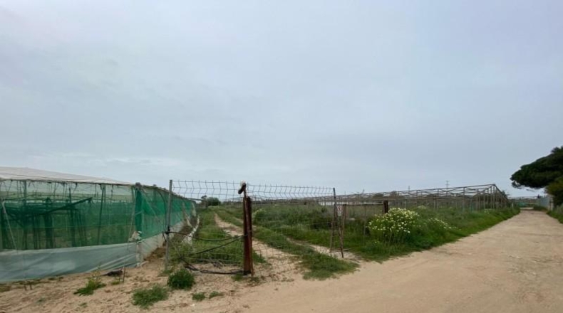 Cadiz - Чипиона - 12413m2