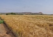 Finca rústica en venta en la España, Fraga, ref: TR312804 foto
