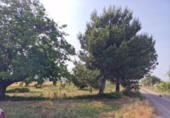 Finca rústica en venta en la España, Fraga, ref: TR312804 foto