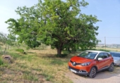 Finca rústica en venta en la España, Fraga, ref: TR312804 foto