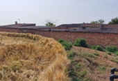 Finca rústica en venta en la España, Fraga, ref: TR312804 foto