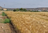 Finca rústica en venta en la España, Fraga, ref: TR312804 foto