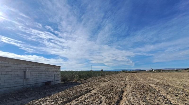 Almeria - Huércal-Overa - 6000m2