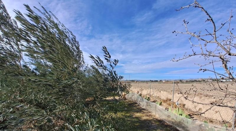 Almeria - Huércal-Overa - 6000m2