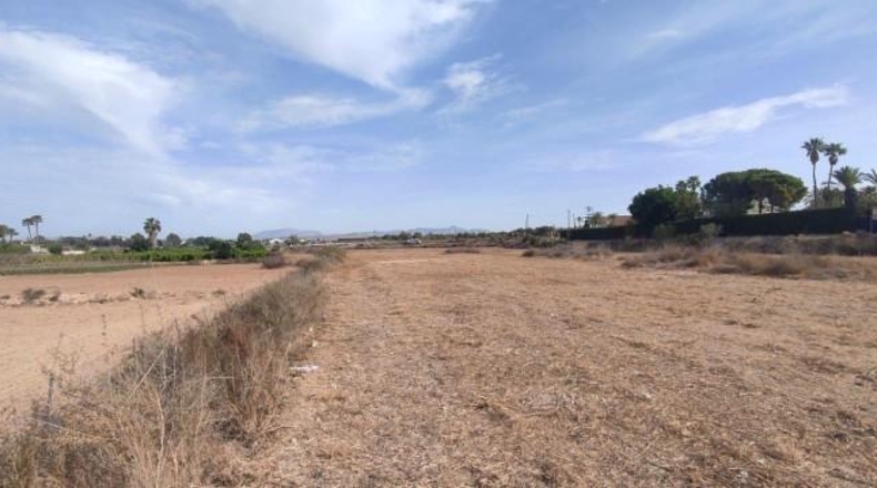Alicante - Elche - 13482m2