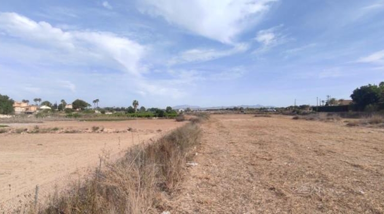 Alicante - Elche - 13482m2