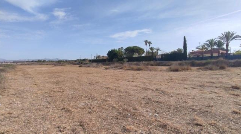 Alicante - Elche - 13482m2