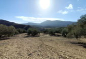 Terreny no urbanitzable en venda a la España, Antequera, ref.: TR118454 foto