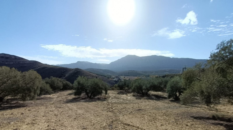 Málaga - Antequera - 63522m2