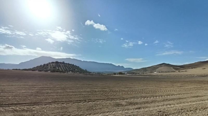 Málaga - Antequera - 63522m2