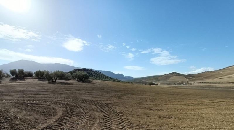 Málaga - Antequera - 63522m2