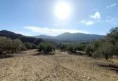 Terreny no urbanitzable en venda a la España, Antequera, ref.: TR118454 foto