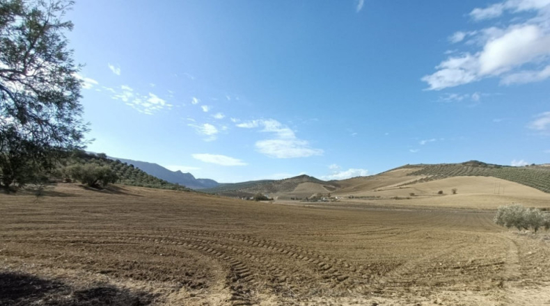 Málaga - Antequera - 63522m2