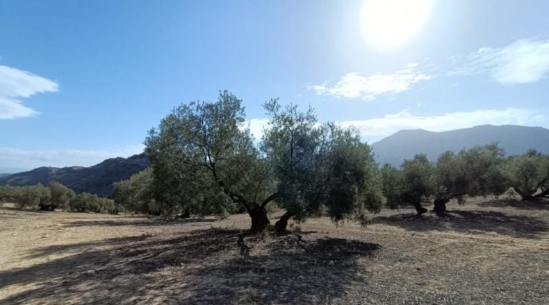 Málaga - Antequera - 63522m2