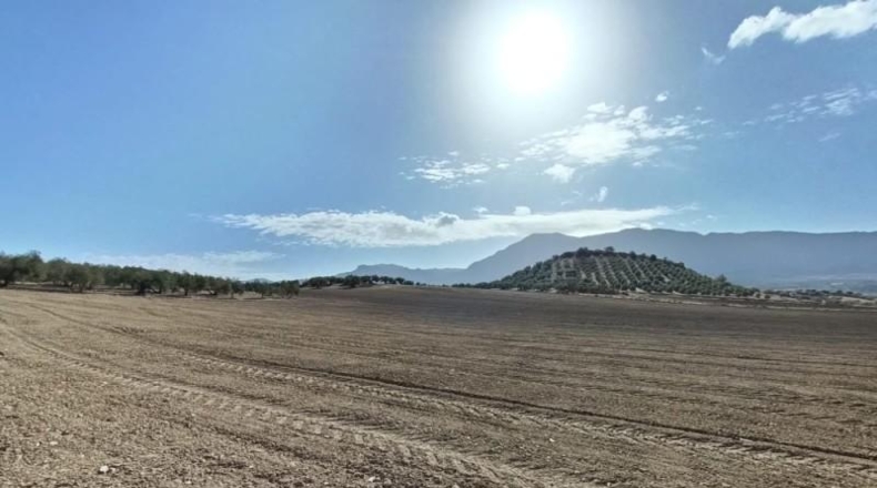 Málaga - Antequera - 63522m2