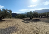 Terreny no urbanitzable en venda a la España, Antequera, ref.: TR118454 foto