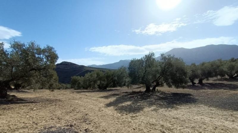Málaga - Antequera - 63522m2