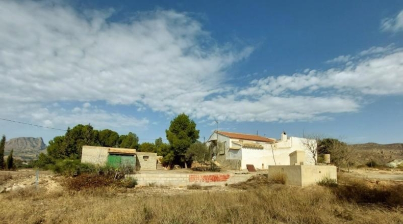 Murcia - Abarán - 20800m2